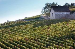 Domaine des Lambrays