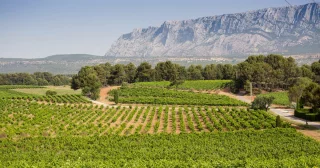 Domaine de Bendel
