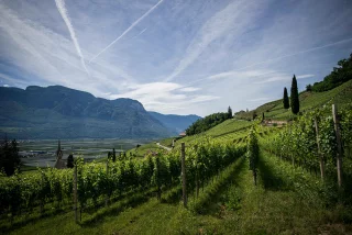 Domaine Yves Cuilleron
